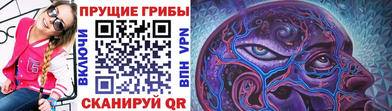 Галлюциногенные грибы прущие грибы  Александровск 